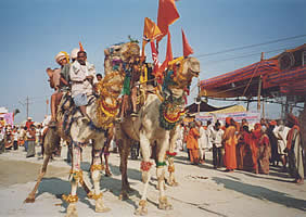 Pilger auf Kamel